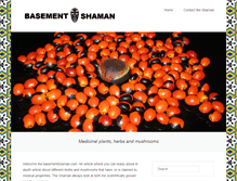 Tablet Screenshot of basementshaman.com